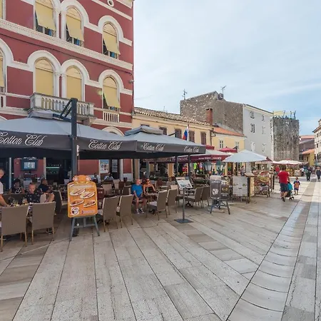 招待所 Alice 波雷奇