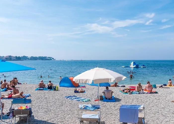 Alice 게스트하우스 3*